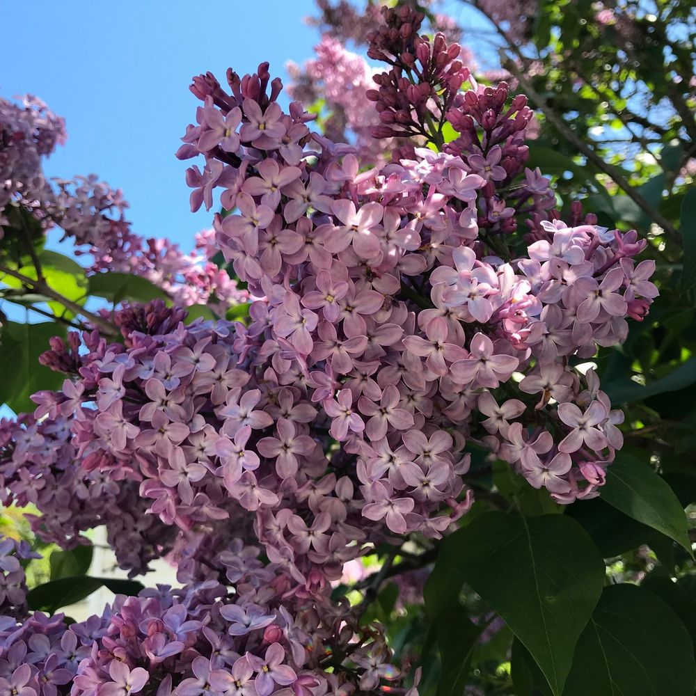 Meet your Posher, Sandy